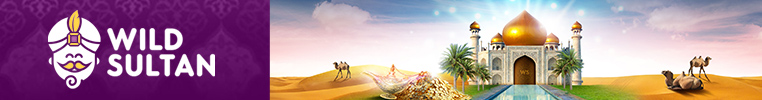 Www topcasinoenligne ch